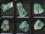 Flat: Green, Fluorescent Rogerley Fluorite - Pieces #97148-2